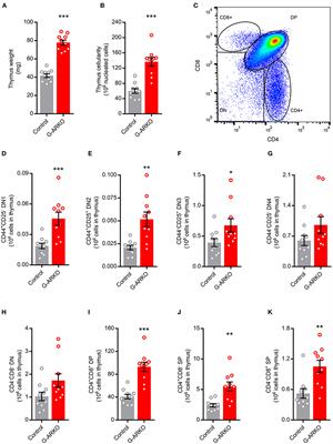 Androgen Receptors in Epithelial Cells Regulate Thymopoiesis and Recent Thymic Emigrants in Male Mice